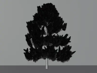 Pine Tree 2 3D model