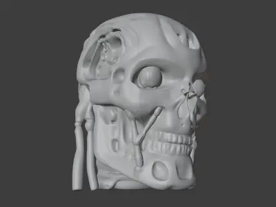 T 800 Head Low-poly 3D model