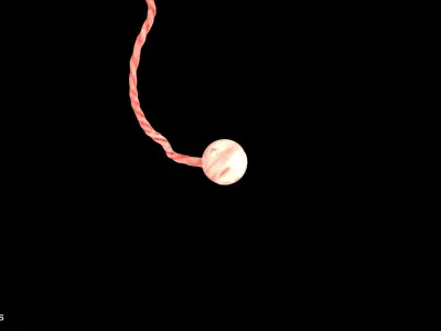 2 Weeks Human Fetus Low-poly 3D model