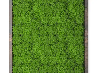 Stabilized moss 15 3D model
