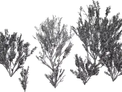 Realistic Shrub   Bush Growth Pack Low-poly 3D model