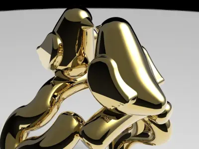 The Bird Ring 3D model