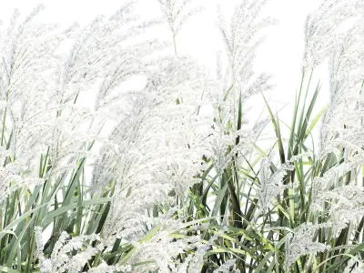 Porcelain pot 3D model