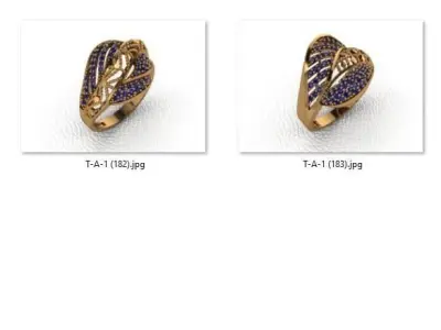 ring 25 pieces drawing 3d rihone drawing ring rings ring models  3D print model