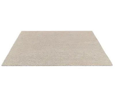 TALSARI HAND-KNOTTED SILK WOOL RUG 3D model