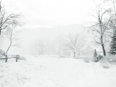 Minnies haberdashery 3D model