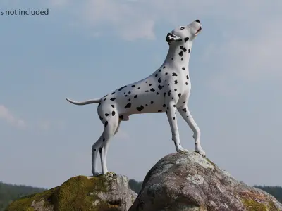  Dalmatian Dog Animated Rigged for Cinema 4D 