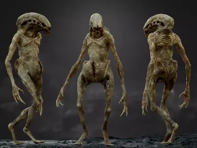 The Newborn  Low-poly 3D model