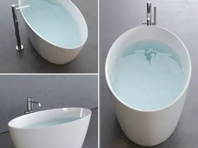 Disenia Lake Bathtub Low-poly 3D model