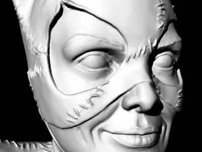 Catwoman Buste 3D print model