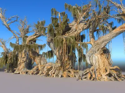 Magic Forest Pack  3D model