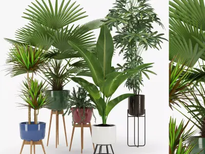 Plants  Free low-poly 3D model