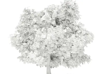 Mango Tree with Fruits 3D model