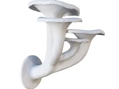Mushroom Wall Light Extra Small 3D model