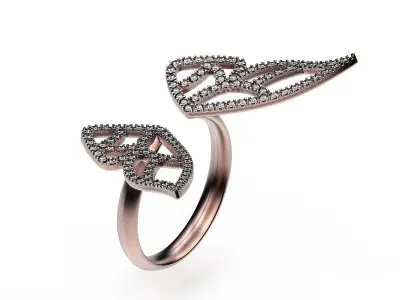 Ring Two Wings 3D print model