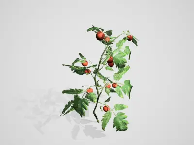 Tomato bush Low-poly 3D model