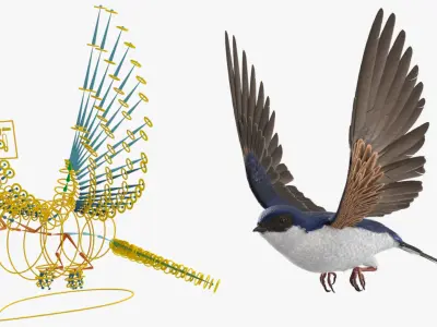  Flying House Martin Bird Animated Rigged 