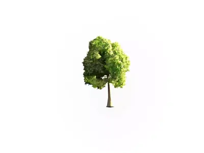 Low Poly Tree Stylish Low-poly 3D model
