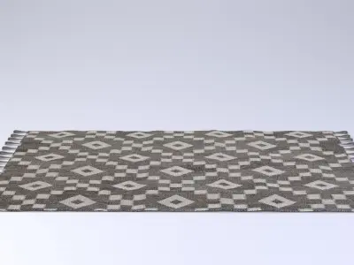 Rug with Fringe 3D model