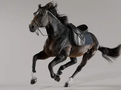  Horse SealBrown Saddled 