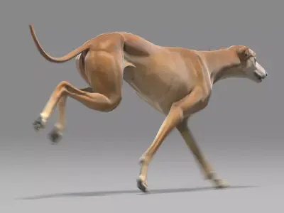 Greyhound Brown Animated 3D model