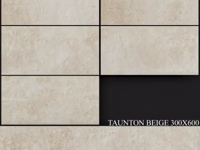 Keros Taunton Beige 300x600 3D model