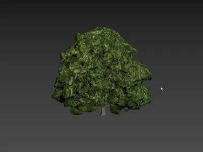 Low Poly Tree Stylish Low-poly 3D model