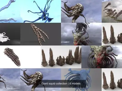 Giant squid collection 3D Model Pack