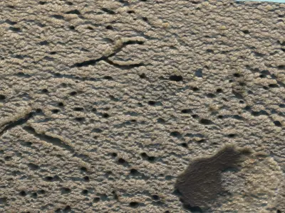 Burrows In The Sand 3D model