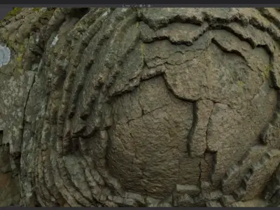 Stone Rose Raw 3D Scan 3D model