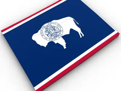 Wyoming Political Map 3D model