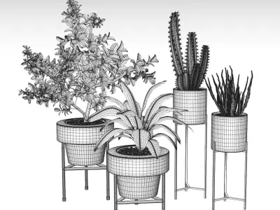 Plants And Planters 3 3D model