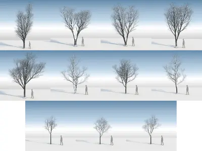  Eleven Trees 3 (+Growfx) 