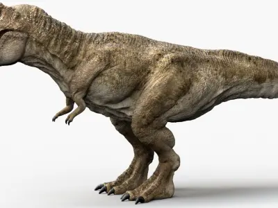  Tyrannosaurus Rex (Animated) (Rigged) 