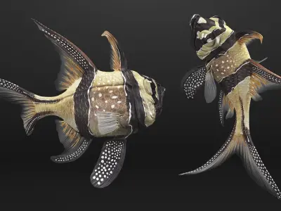  Coral Fish Collection 4 Rigged for Maya 