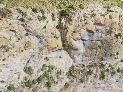 Mountain Cliff Side Bush Photoscan PBR Low-poly 3D model