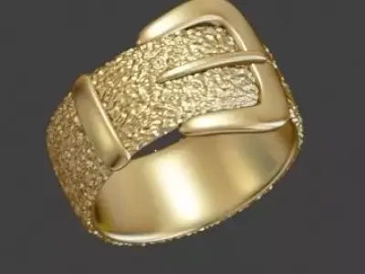 Belt Ring 3D print model
