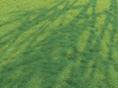 4 grass for landscape with corona scatter 3D model