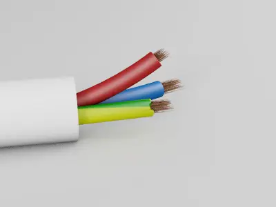 Incandescent lamp bulb with cable 3D model