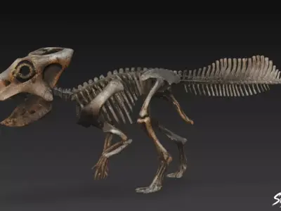 Pachycephalosaurus fossil Low-poly 3D model