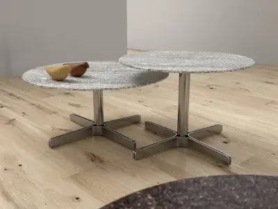 DS 343 61 and DS 343 62 Coffee Tables 3D model