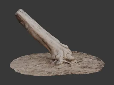 Leaning Tree Trunk Scan Low-poly 3D model