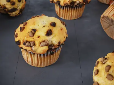 Chocolate Chip Muffins 4 Models