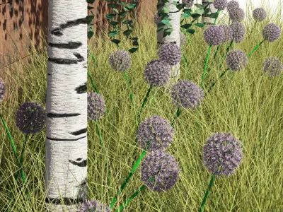 Modern flowerbed with Birches 3D model