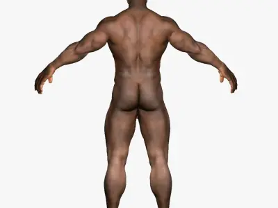 African American Male Body 3D model