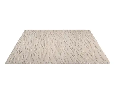 CARPET ZENON 200 X 300 3D model