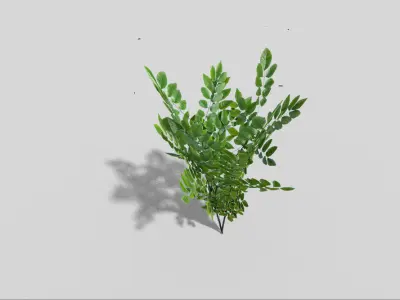 Plant Low-poly 3D model order