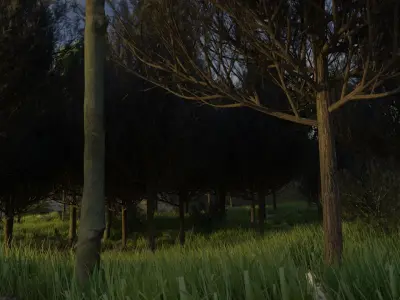 Forest with grass and trees 3D model