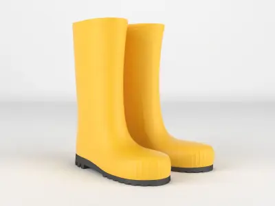 Wellington Boots 3D model