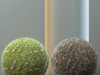 4 Tree bark and trunk vol 14 - 4k - pbr - tileable Texture